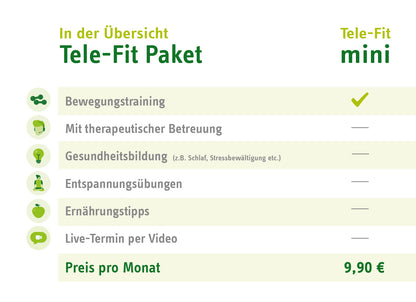 Tele-Fit mini Paket-Übersicht für das Online-Training-Programm des ZAR Aalen, perfekt für das Training zu jeder Zeit, an jedem Ort.